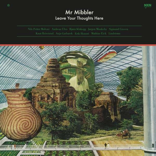 Mr Mibbler Leave Your Thoughts Here Vinyl