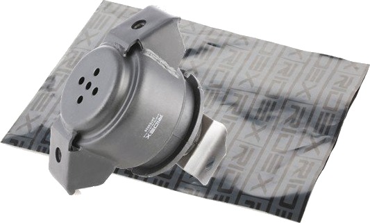 RIDEX 247E0029 Motorfeste