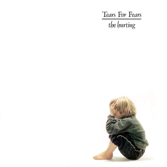 Tears For Fears  The Hurting  LP/Vinyl