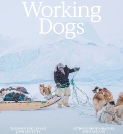 Working Dogs Working Dogs
