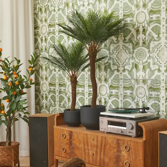 Mr Plant Cycas Palme 120 cm Mr Plant Cycas Palme 120 cm