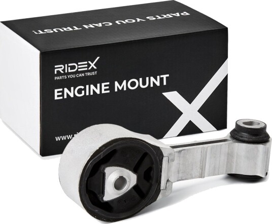 RIDEX 247E0441 Motorfeste