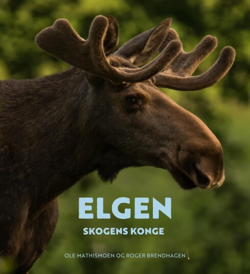 Elgen Elgen