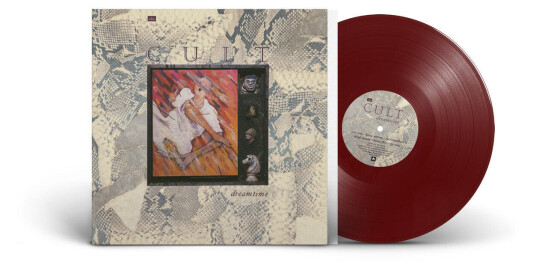The Cult  Dreamtime  LP/Vinyl