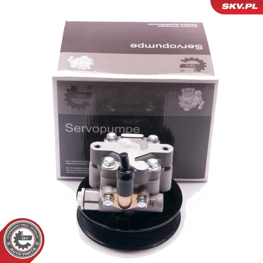 Servopumpe ESEN SKV 10SKV227