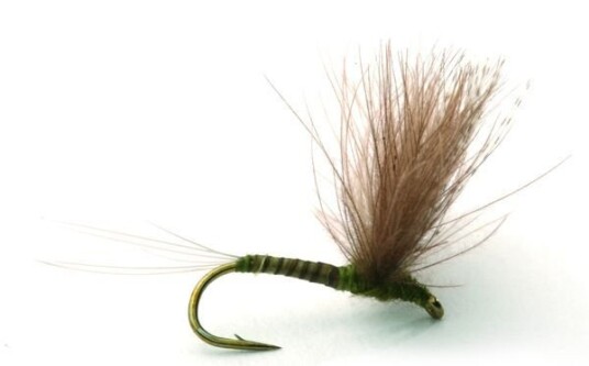 Umpqua Flies Cdc Biot Comparadun Olive