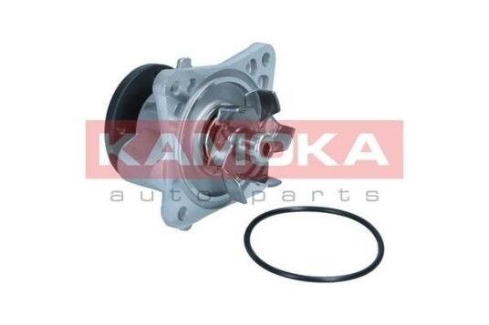 KAMOKA T0309 Vannpumpe