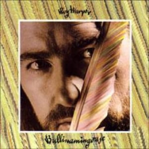 Bengans Harper Roy - Billinamingvase