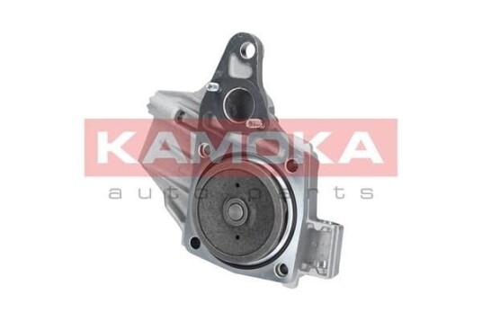 KAMOKA T0239 Vannpumpe