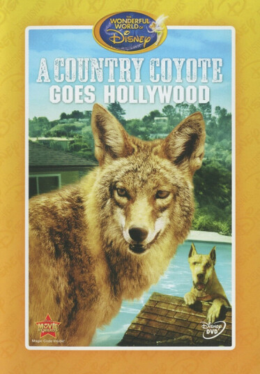 Country Coyote Goes Hollywood DVD