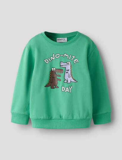 Name It Nmmdakkian Ls Nreg Swe Bru Green 116