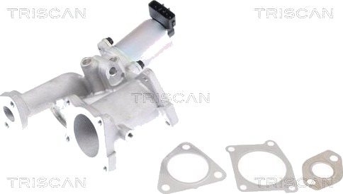 EGR ventil TRISCAN 8813 24101