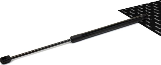 RIDEX 219G0279 Baklukedemper