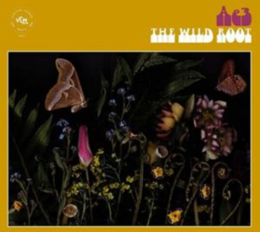 Alan Evans The Wild Root CD
