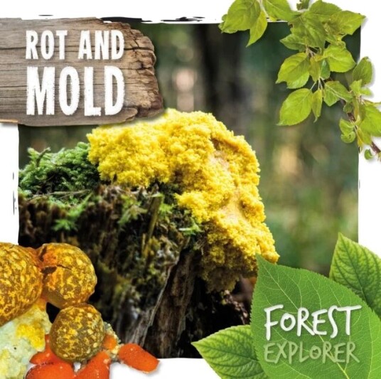 Rot & Mould Av Robin Twiddy Rot & Mould Av Robin Twiddy