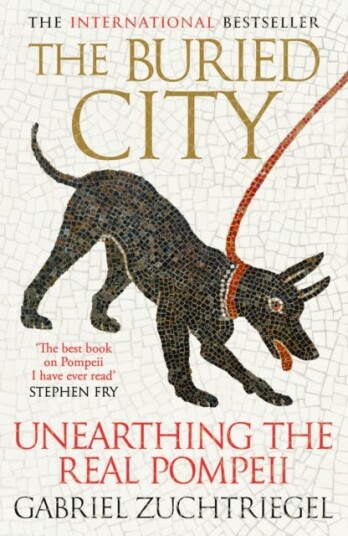 The Buried City Unearthing the Real Pompeii The Buried City Unearthing the Real Pompeii