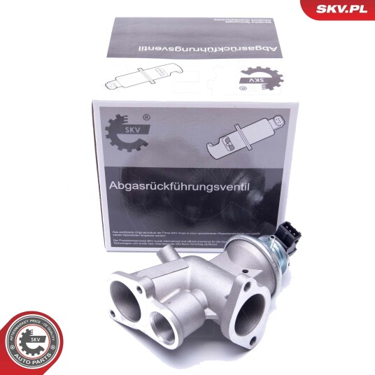 EGR ventil ESEN SKV 14SKV181