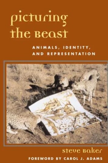 Picturing The Beast Av Steve Baker
