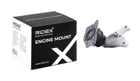 Motorfeste RIDEX 247E0835