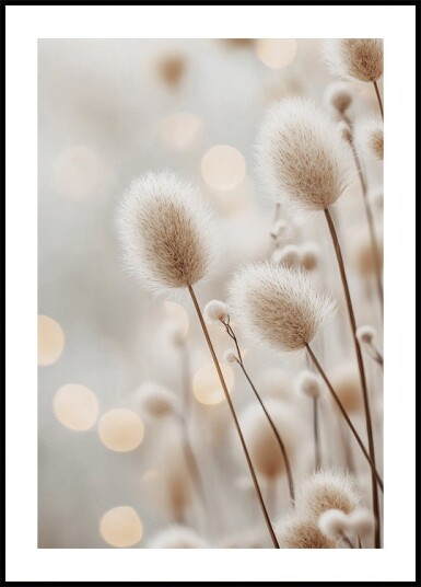 Fluffy Plant Stems Plakat Plakat / 100x150cm