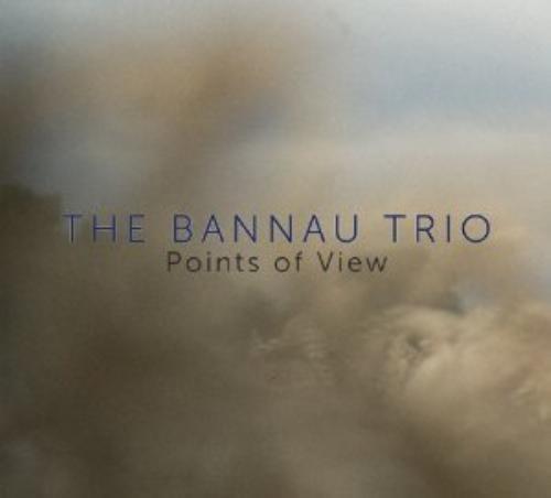 MediaTronixs The Bannau Trio : Points of View CD (2013) Pre-Owned