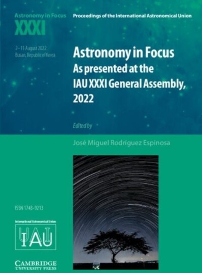 Astronomy in Focus XXXI