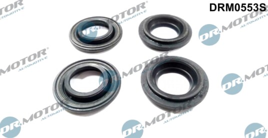 Rep. sett, innsprøytningsdyse Dr.Motor Automotive DRM0553S
