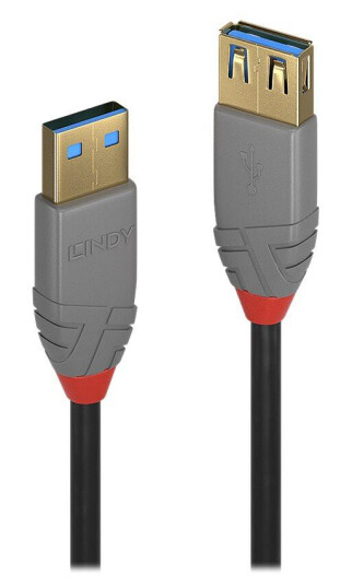 Lindy 2m USB 3.2 Gen 2 Forlengelseskabel Type A til Type A - Sort