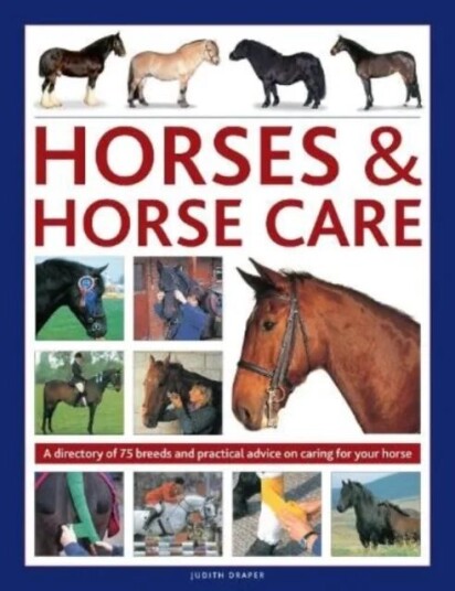 Horses & Horse Care Av Judith Draper Horses & Horse Care Av Judith Draper