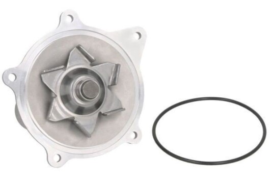THERMOTEC D1Y004TT Vannpumpe THERMOTEC D1Y004TT Vannpumpe