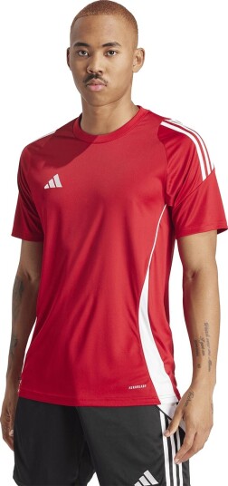 adidas Tiro 24 Trenings T skjorte Rød S
