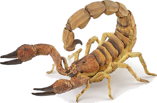 Papo Skorpion H: 5 cm Papo OneSize Lekedyr Brun