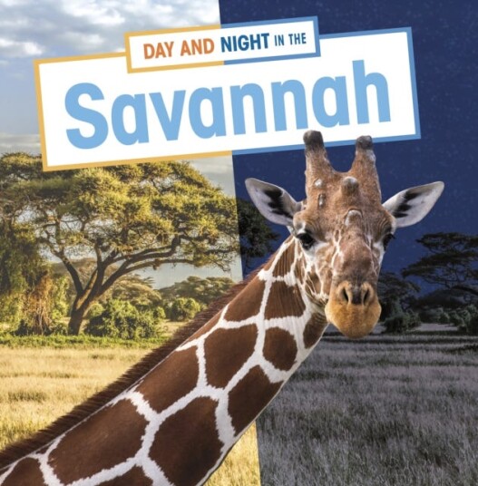 Day And Night In The Savannah Av Mary Boone