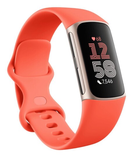 Fitbit Charge 6 Amoled Wristband Fitbit Charge 6 Amoled Wristband
