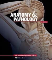 Anatomy & Pathology:The World'S Best Anatomical Charts Book Av Anatomical Chart Company