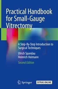 Practical Handbook For Small-Gauge Vitrectomy Av Ulrich Spandau, Heinrich Heimann