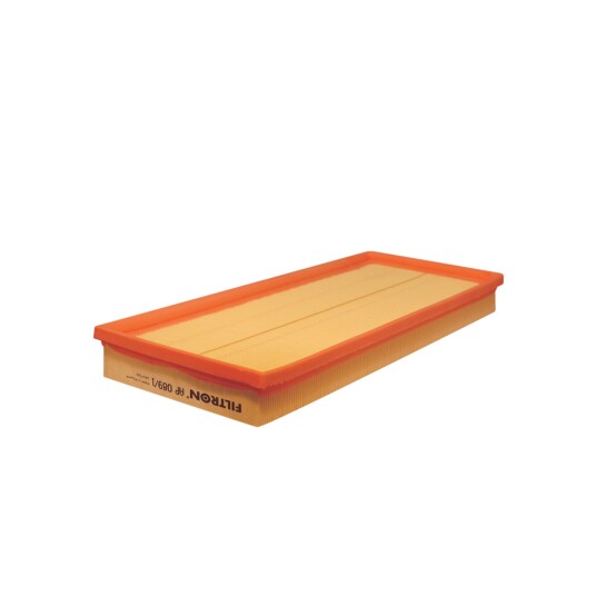 Luftfilter FILTRON AP 089/1