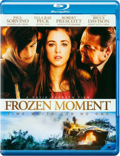 Frozen Moment 2011 Bluray