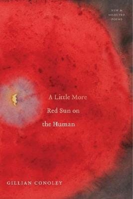A Little More Red Sun on the Human New & Selected Poems