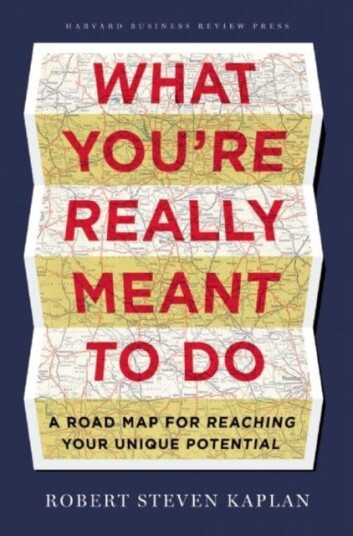 What You'Re Really Meant To Do Av Robert Steven Kaplan