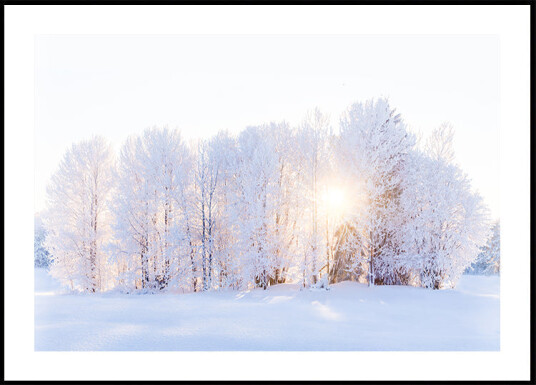 The light returns Plakat Plakat / 21x30cm The light returns Plakat Plakat / 21x30cm