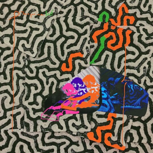 Animal Collective Tangerine Reef LP/Vinyl Animal Collective Tangerine Reef LP/Vinyl