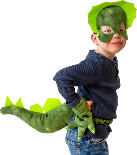 Dinosaur Utkledning for Barn - Small