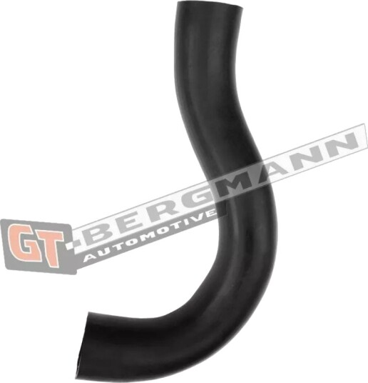 GT BERGMANN GT52 552 Ladeluftslange