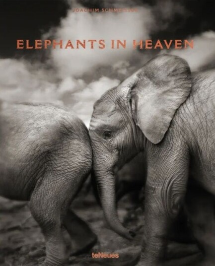 Elephants In Heaven Av Joachim Schmeisser
