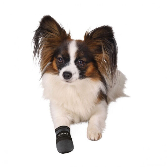 Trixie Neopren Hundesko M 2-pack - Potesokker for Rask Helbredelse