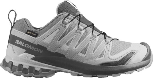 Salomon Women"s XA Pro 3d V9 GORE TEX Alloy / Castlerock / Lunar Rock 40 ⅔