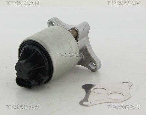 EGR-ventil TRISCAN 8813 24004