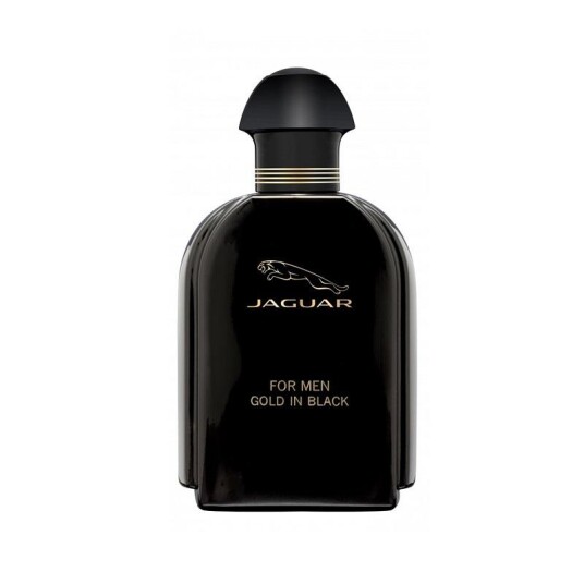 Jaguar for Men Gold In Black Eau De Toilette 100ml