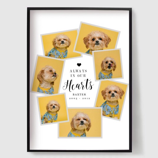 Namly Design Personalisert Plakat Kjæledyr Minnesmerke – Kollasj POSTERQGPLGZ